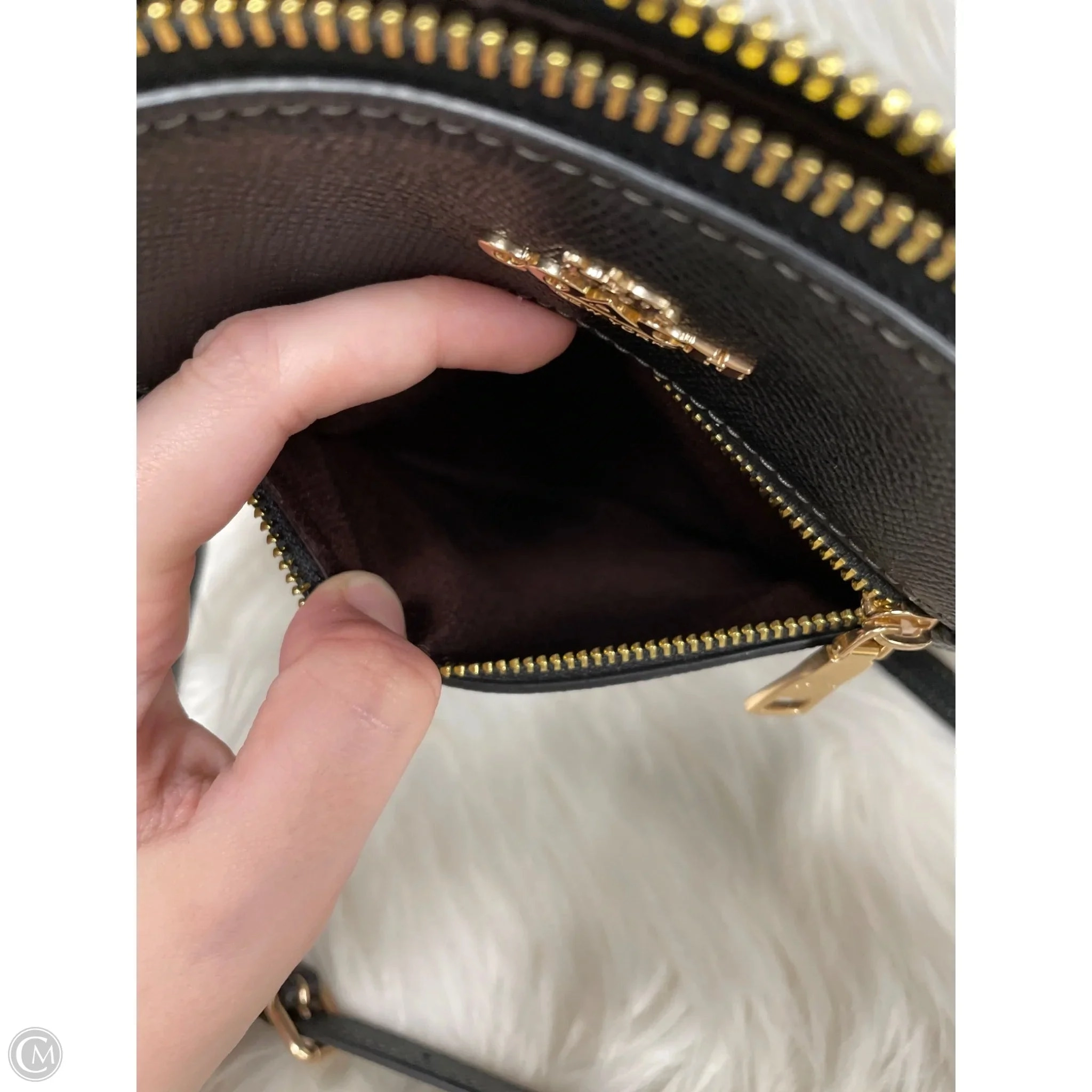 Crossbody Designer By Coach, Size: Medium